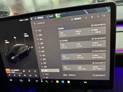 Tesla Model Y 2023 long-range all-wheel drive version - фото 10