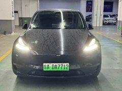 Tesla Model Y 2023 long-range all-wheel drive version - фото 2