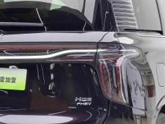Hongqi HQ9 PHEV 2.0T four-wheel drive luxury version - фото 18