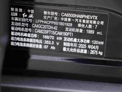 Hongqi HS7 PHEV 2024 2.0T PHEV four-wheel drive Qichang version 7 seats - фото 18