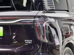 Hongqi HQ9 PHEV 2.0T four-wheel drive luxury version - фото 19