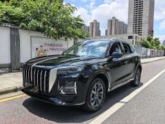 Hongqi HS5 2023 2.0T Qixiang Pro 500,000 Units Commemorative Edition - фото 1