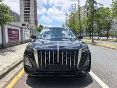 Hongqi HS5 2023 2.0T Qixiang Pro 500,000 Units Commemorative Edition - фото 2