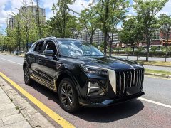 Hongqi HS5 2023 2.0T Qixiang Pro 500,000 Units Commemorative Edition - фото 3