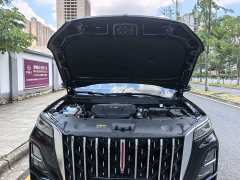 Hongqi HS5 2023 2.0T Qixiang Pro 500,000 Units Commemorative Edition - фото 4