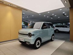 Geely Panda 2025 Panda mini 210km Yuanqi Edition - фото 1