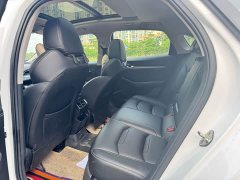 Lexus Xingrui 2021 2.0TD luxury - фото 5