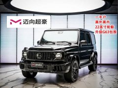 Mercedes-Benz G-Class G 350 - фото 1
