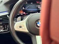 BMW 5 Series Facelift Three 530Li Exclusive M Sports Package - фото 11