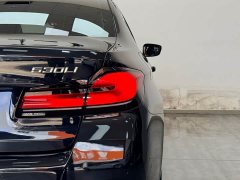 BMW 5 Series Facelift Three 530Li Exclusive M Sports Package - фото 19