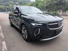 Lexus Envision S Envision S 552T two-wheel drive luxury - фото 3