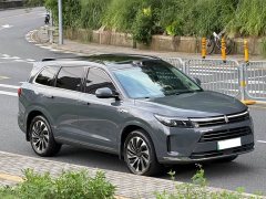 AITO Wenjie M7 1.5T Intelligent Driving Four-wheel Drive Max Edition 5 Seats - фото 6