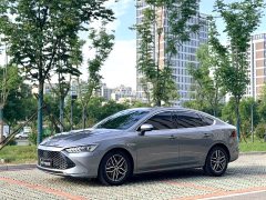 BYD Qin PLUS 2021 DM-i 55KM flagship - фото 1