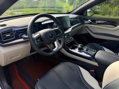 BYD Qin PLUS 2021 DM-i 55KM flagship - фото 10
