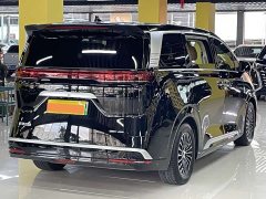 Denza D9 DM-i 970 four-wheel drive flagship - фото 15