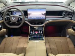 Denza D9 DM-i 970 four-wheel drive flagship - фото 7