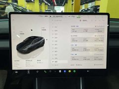 Tesla Model Y rear-wheel drive first edition - фото 12