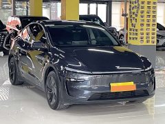 Tesla Model Y rear-wheel drive first edition - фото 3