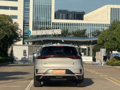 Lexus Tangxin Energy smart driving version DM-i 115KM flagship - фото 10