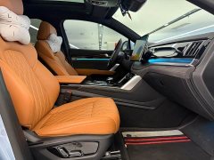 Lexus Tangxin Energy 2023 DM-i Champion Edition 112KM Honor Type - фото 13