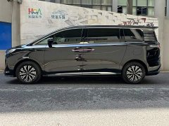 Hongqi HQ9 PHEV 2024 2.0T AWD Business Edition - фото 3