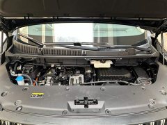 Hongqi HQ9 PHEV 2024 2.0T AWD Business Edition - фото 7