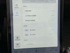 XPeng P5 2021 460G - фото 16