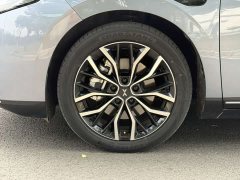 XPeng P5 2021 460G - фото 8