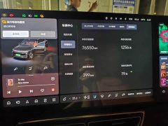 Li Auto Ideal L9 2022 Max - фото 19