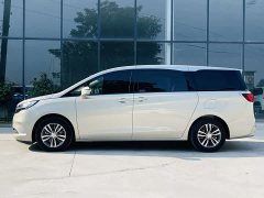 Buick GL8 ES Lu Zun 653T Exclusive Type - фото 15