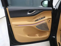 Voyah Lantu Dreamer 2024 PHEV Extra Long Range Premium Edition - фото 10