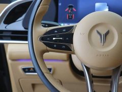 Voyah Lantu Dreamer 2024 PHEV Extra Long Range Premium Edition - фото 17