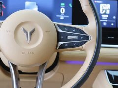 Voyah Lantu Dreamer 2024 PHEV Extra Long Range Premium Edition - фото 18