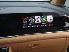 Voyah Lantu Dreamer 2024 PHEV Extra Long Range Premium Edition - фото 20