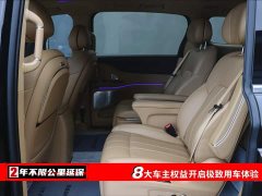 Voyah Lantu Dreamer 2024 PHEV Extra Long Range Premium Edition - фото 6