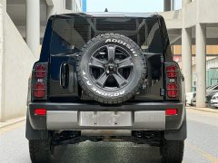 Haval Raptor New Energy 2023 Hi4 145 Discovery Edition - фото 4