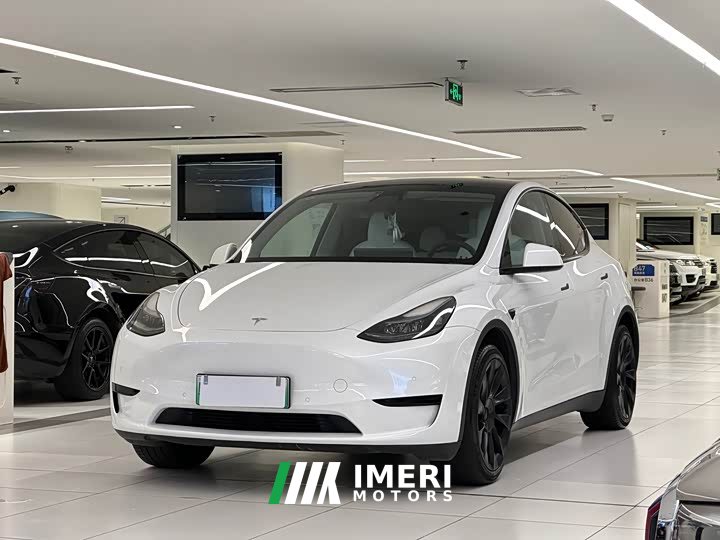 Tesla Model Y 2023 rear-wheel drive version - автомобиль из Китая