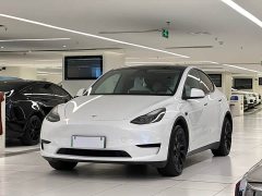 Tesla Model Y 2023 rear-wheel drive version - фото 1
