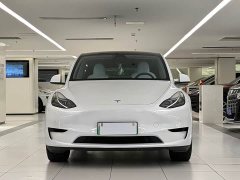 Tesla Model Y 2023 rear-wheel drive version - фото 2