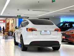 Tesla Model Y 2023 rear-wheel drive version - фото 5