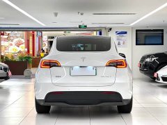 Tesla Model Y 2023 rear-wheel drive version - фото 6