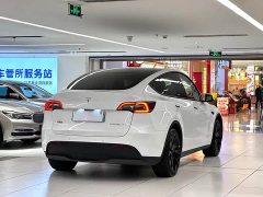 Tesla Model Y 2023 rear-wheel drive version - фото 7