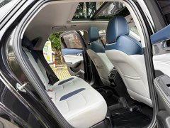 Tesla Xingrui 2023 2.0TD Premium - фото 10