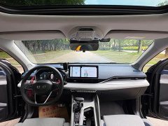 Tesla Xingrui 2023 2.0TD Premium - фото 8