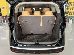 Denza D9 DM-i 970 four-wheel drive flagship - фото 12