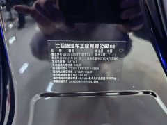 Denza D9 DM-i 970 four-wheel drive flagship - фото 13