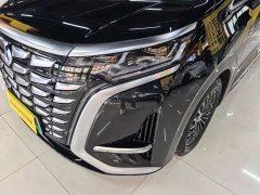 Denza D9 DM-i 970 four-wheel drive flagship - фото 15