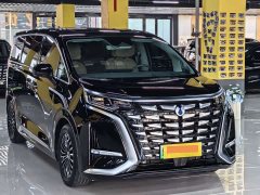 Denza D9 DM-i 970 four-wheel drive flagship - фото 3