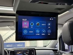 Trumpchi M8 2021 Lead Show Series 390T Exclusive Edition - фото 16