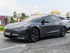 Tesla Model 3 2021 standard range rear drive upgraded version 3D6 - фото 1